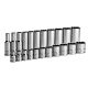 Capri Tools 3/8 in. Drive SAE 12-Point Shallow and Deep Socket Set (22-Piece)