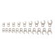 TEKTON 5/16-3/4 in., 8-19 mm 3/8 in. Drive 6-Point Flare Nut Crowfoot Wrench Set (21-Piece)