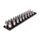 TEKTON 1/2 Inch Drive Hex Bit Socket Set with Rails and Tray, 23-Piece (1/4-3/4 in., 6-19 mm)
