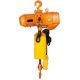 SKYSHALO Electric Chain Hoist, 10 ft. Lift Height with Electrical Hook for Logistics, 2,200 lbs. Double Electric Chain Hoist