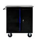 Damodpoy 13.58 in. Movable Lockable Double Door Partition with Lock Multi-functional Hardware Storage Tool Car Auto Repair Locker