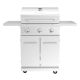 Nexgrill 3-Burner Propane Gas Grill in Stainless Steel with Side Shelves
