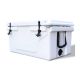 Unbranded 65 qt. White Outdoor Portable Plastic Insulated Cooler Box with Heavy-Duty Rubber Latches, Picnic and Fishing Cooler