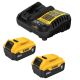 DEWALT 20V MAX Lithium-Ion Battery Starter Kit with 5.0 Ah Batteries (2-Pack) and Charger