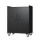 Damodpoy Heavy Duty 30.31 in. W x 18.11 in. D 2 Door Black Metal Rolling Tool Cabinet, Lockable Garage Storage Cabinet