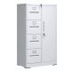 Damodpoy 17.72 in. W x 52.28 in. H x 29.92 in. D Steel Freestanding Storage Cabinet with Locks, 4 Drawer and 1 Door
