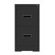 Damodpoy 17.7 in. W 2 Drawer Metal File Cabinet with Lock, Black Filing Cabinets, Modern Tool Cases for Home Office