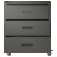 Damodpoy 16.5 in. W 3 Drawer Steel Mobile File Tool Cabinet with Lock, Black Filing Cabinets, Tool Carts for Garage and Office