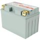 Genuine Factory Parts Replacement 12-Volt 11 Ah 210 CCA Sealed AGM Riding Lawn Mower Battery
