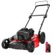 PowerSmart 21 in. 2-in-1 125cc Gas Push Mower, Briggs and Stratton Engine, Quick Start, 6-Position Height Adjustment