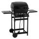 FEASTO 2-‚ÄãBurner Propane Gas Grill in Black