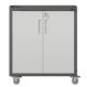 Damodpoy 17.72 in. W 2-Shelf Steel Sturdy Grey Garage Rolling Storage Tool Carts with Lock, Wheels for Garages and Warehouses