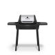 Broil King Porta-Chef 120 Portable Propane Grill in Stainless Steel and Black