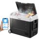 VEVOR 48 qt. Portable Outdoor Refrigerator Carbon Steel Car Refrigerator with Freezer in Black