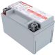 Continental 12-Volt AGM Battery 210CCA