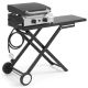 Karl home 20000 BTU 2 Burner Foldable Propane Griddle Rolling Flat Top Gas Grill with Wheels and Lid for Outdoor Cooking Camping