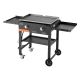 SKYSHALO Gas Griddle, 2-Burner Flat Top Grill (30,000 BTU Outdoor), 28 in. Grill Plate Foldable Propane Griddle w/ Wheels, Black