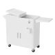 Karl home 80 qt. Patio Cooler Cart With Cabinet And Foldable Side Table in White