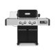 Broil King Regal Q 490 Pro IR 4-Burner Natural Gas Grill in Stainless Steel with Side Burner and Rear Rotisserie Burner