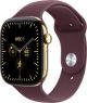 Apple Watch Series 12 (GPS + Cellular) 46mm Titanium Case with Burgundy Sport Band - S/M - Radiant Gold - (2026)