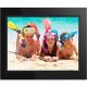 Aluratek - ADMPF315F 15 inch Digital Photo Frame - Black