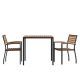 Alamont Home - Lark Outdoor Square Modern 3 Piece Patio Set - Teak