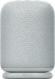 Sony - LinkBuds Wireless Portable Speaker - Gray