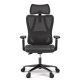 ACGAM - Ergonomic Customizable Recliner Gaming Chair with Lumbar Support - Black