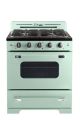 Unique Appliances - Classic Retro 3.9 Cu. Ft. Freestanding Gas Convection Range - Summer Mint Green