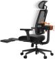 Newtral - Ergonomic High Back Office Mesh Chair with Footrest, Adaptive Lumbar Support, 4D Armrest, Adjustable Seat Depth & Height - Black