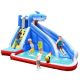 Costway Inflatable Water Slide Animal Shaped Bounce House Castle Splash Water Pool without Blower - Multicolor