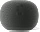 Google - Home Speaker (Coming Spring 2026) - Smart Speaker with Gemini For Home Voice Assistant and 360-Degree Sound - Hazel