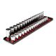 TEKTON 3/8 in. Drive 6-Point Socket Set with Rails(6 mm-24 mm) (38-Piece) SHD91211