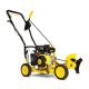 Champion Power Equipment 9 in. 79 cc Gas Powered 4-Stroke Walk Behind Lawn Edger
