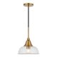 Camden&Wells - Magnolia Seeded Glass Pendant - Brass