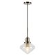 Camden&Wells - Zariza Clear Glass Pendant - Brushed Nickel