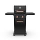PERMASTEEL 2-Burner Compact Gas Grill with Foldable Side Tables in Black with Copper Accent PG-40201-BC