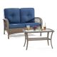 Tenleaf 2-Piece Wicker Patio Conversation Set with Blue Cushions, Ergonomically Designed 1000054B