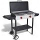 GASONE 2-Burner Propane Grill in Black with Flat Top Griddle B-4570