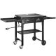 VIVOHOME Portable 2-Burner 30,000 BTU Flat Top Propane Gas Grill in Black with Foldable Legs VH1630