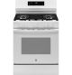 GE - 5.3 Cu. Ft. Freestanding Gas Convection Range with Steam Cleaning and EasyWash Oven Tray - White