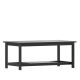 Alamont Home - Charlestown Indoor/Outdoor Poly Resin 2-Tier Adirondack Coffee Table - Black