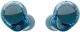 Sony - WF-C710N Truly Wireless Noise-Canceling Earbuds - Glass Blue
