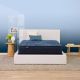 Serta Perfect Sleeper Oasis Sleep California King Plush 13.25 in. Mattress Set with 9 in. Foundation 500108662-9970