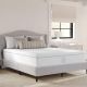 MARTHA STEWART Queen Firm Hybrid 12 in. Bed-in-a-Box Mattress CL-MODE1-12Q-MS