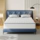 LIBORIA Hybrid Series Twin XL Medium Cooling Memory Foam 10 in. Bed-in-a-Box Mattress TRN10-10TXL