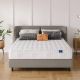Vesgantti Original Hybrid Series Twin Medium Memory Foam Tight Top 8 in. White Mattress JJC0125BAT1A