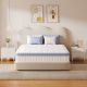 Vesgantti Twin Medium Hybrid Memory Foam, Individual Pocket Spring 10 in. Bed-in-a-Box Mattress JJF010LATKN
