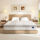 Vesgantti Euro Top Series King Medium Hybrid 12 in. Bed-in-a-Box Mattress R2004011