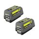 RYOBI 40V Lithium-Ion 6.0 Ah High Capacity Battery (2-Pack) OP4060-2B